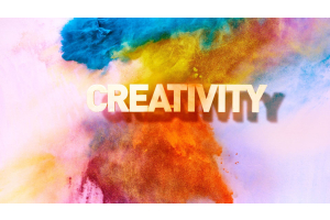 Software licences for creative professionals