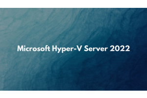 Microsoft Hyper-V Server 2022 la solution