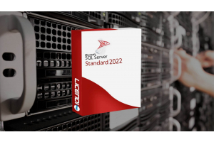 Cómo Optimizar SQL Server 2022