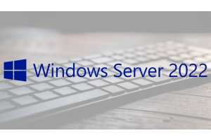Sistema operativo Windows Server 2022