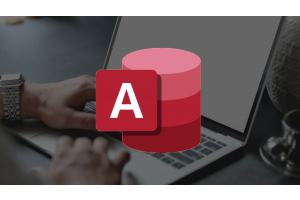 Microsoft Access Software