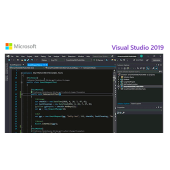 Visual Studio 2019 Professional