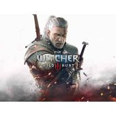 The Witcher Wildhunt