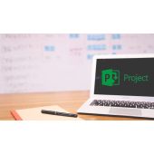 Project 2024 Professional License