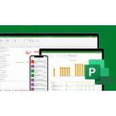 Microsoft Project Professional 2021 Licendi