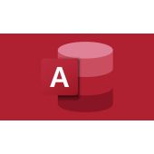 Microsoft Access 2024 licence