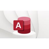 microsoft access 2021 license  