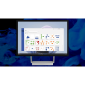 Microsoft Visio Standard 2024 License