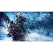 The Witcher Wildhunt