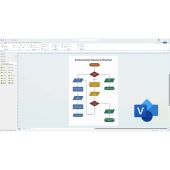 Microsoft Visio Professional 2024 Product Box