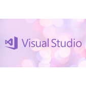 Microsoft Visual Studio Professional 2022 License