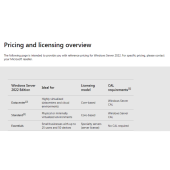 Windows Server 2022 Essentials