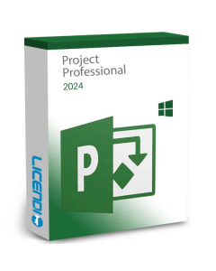 Project 2024 Professional License