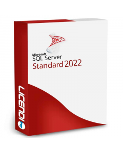 SQL Server 2022 Standard Edition