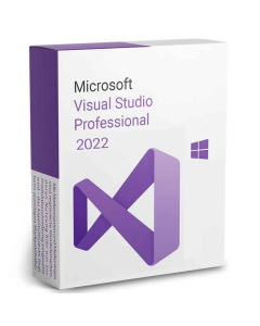 Microsoft Visual Studio Professional 2022 License
