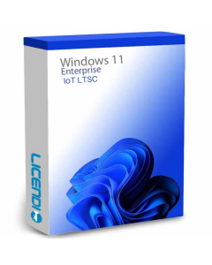 windows 11 IoT enterprise ltsc 2024 license