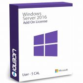 Windows Server 2016 Add on License