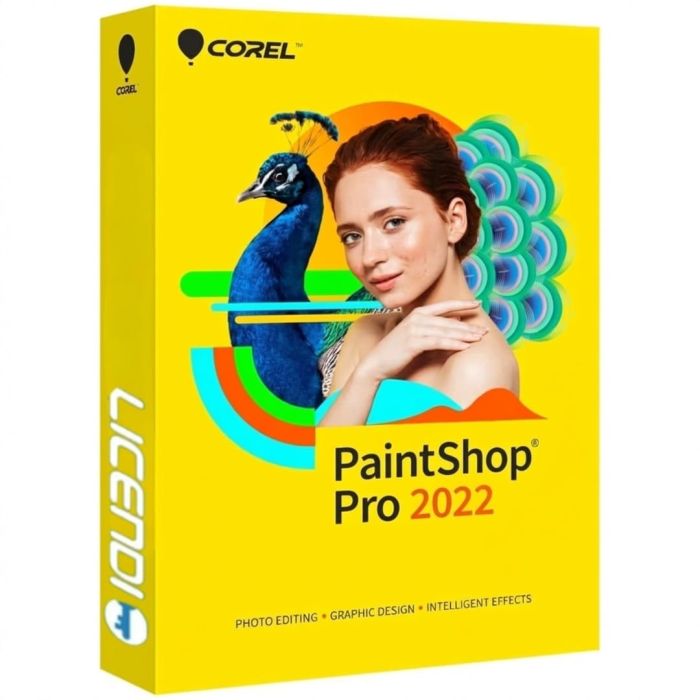 Corel PaintShop Pro 2022