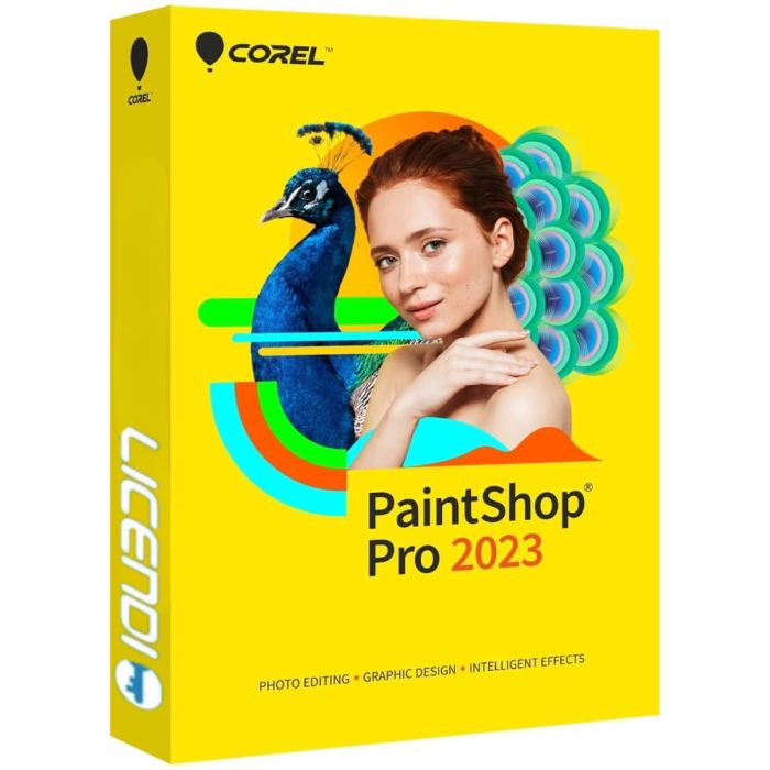 Corel PaintShop Pro 2023 Licence - Professional Photo Editing Software Box