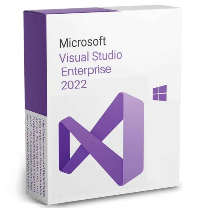 Microsoft Visual Studio Enterprise 2022 - Caja del producto oficial