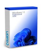 Imagen al comprar Windows 11 Pro con Licendi