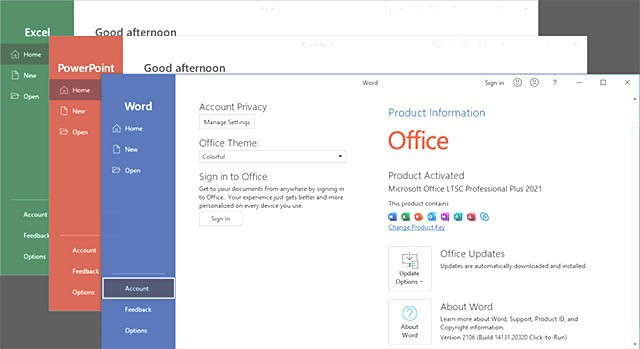 Building a Foundation with Microsoft Office 2021 & 365