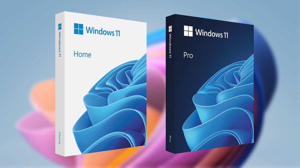 Edición fisica Windows 11
