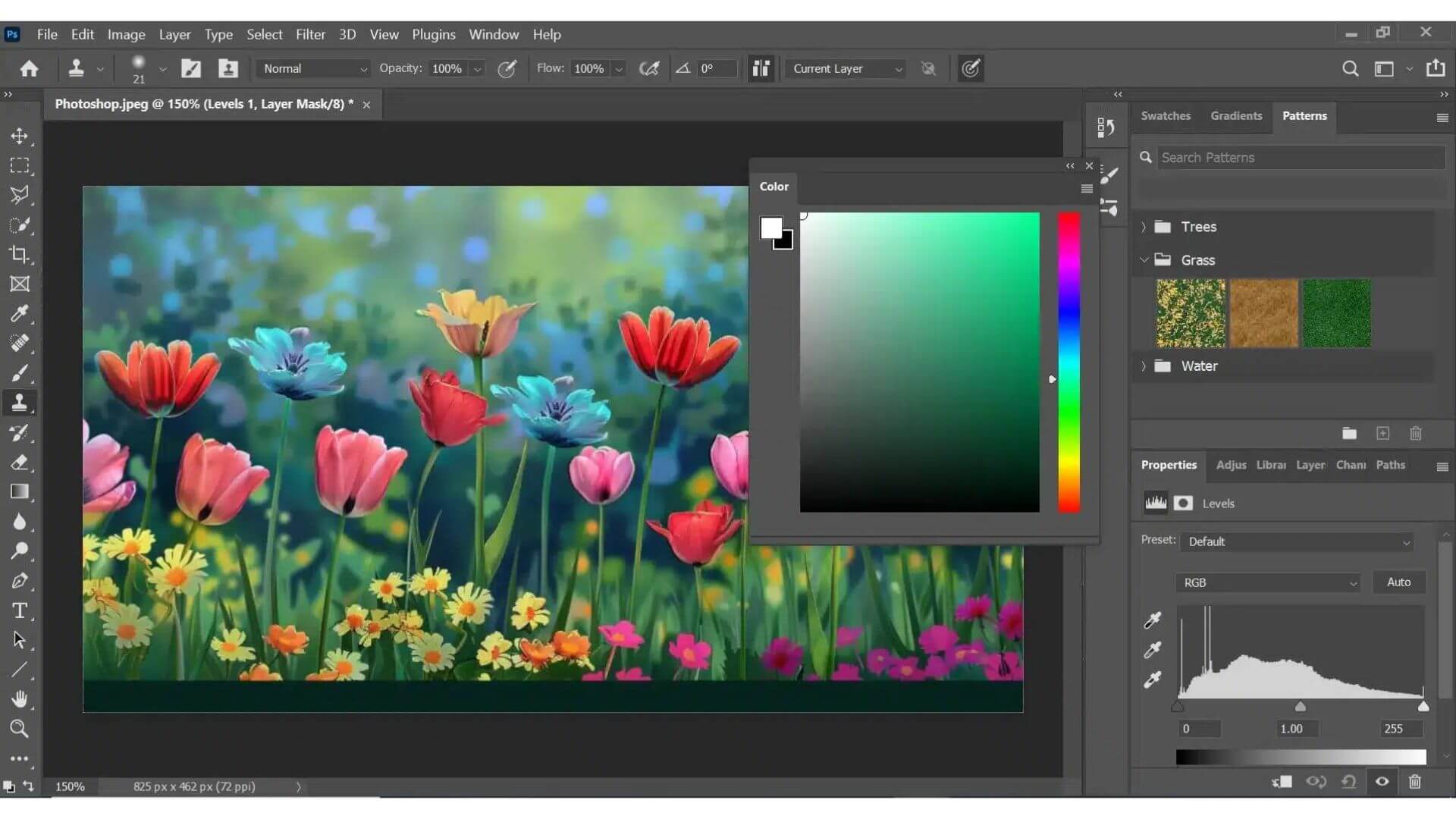Differences between Photoshop 2021 Perpetual and Annual Subscription