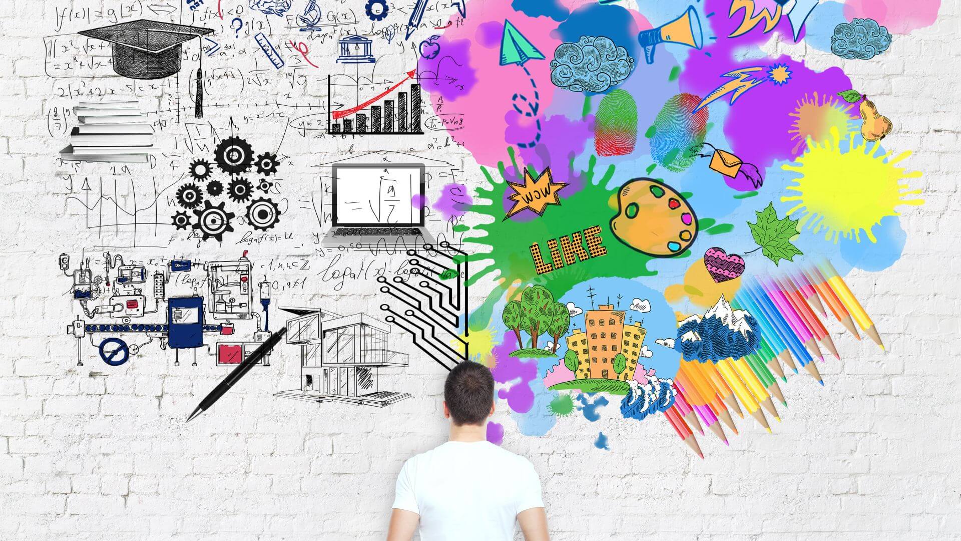 Licenças de software de design