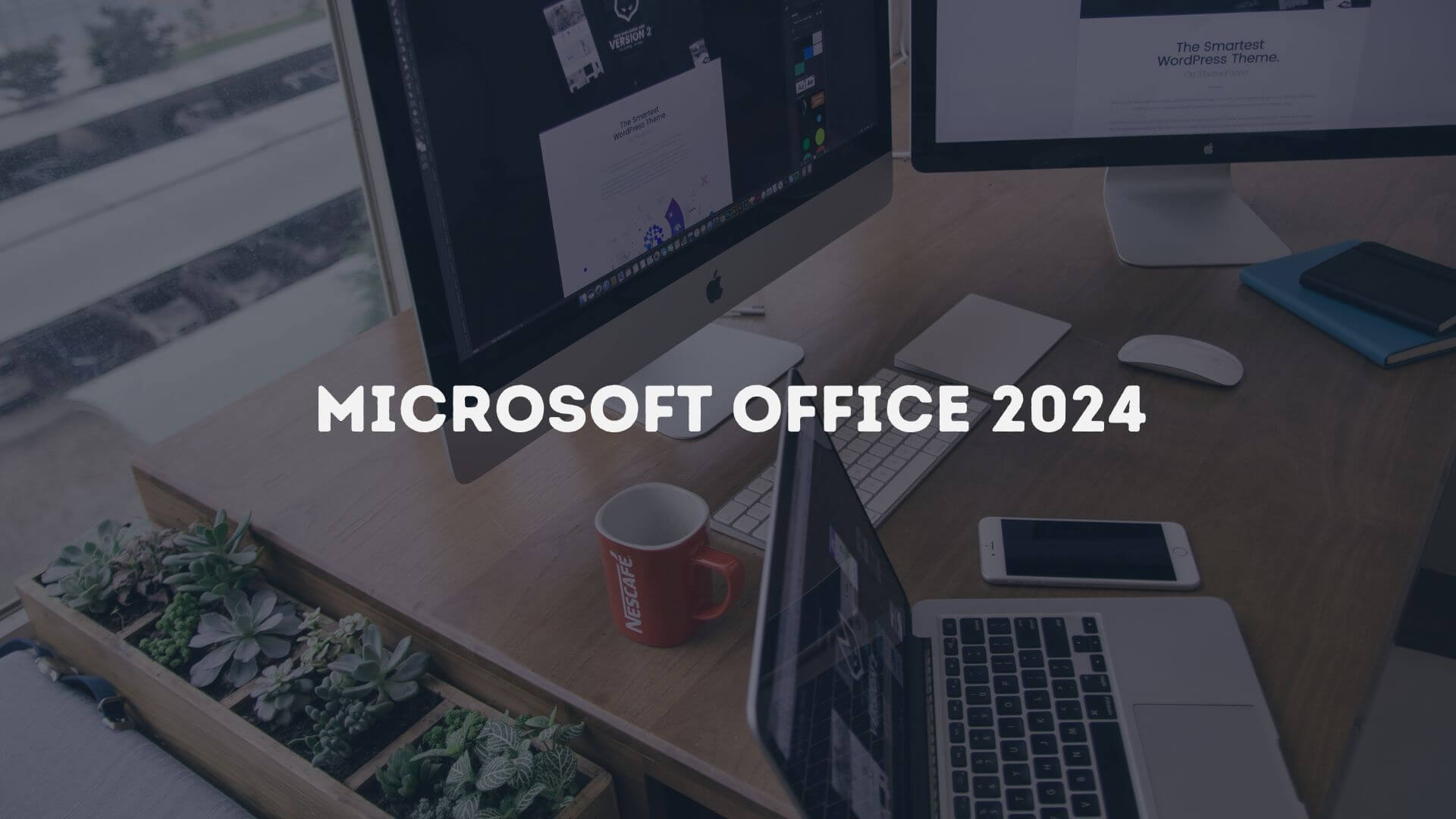 Ms Office 2024