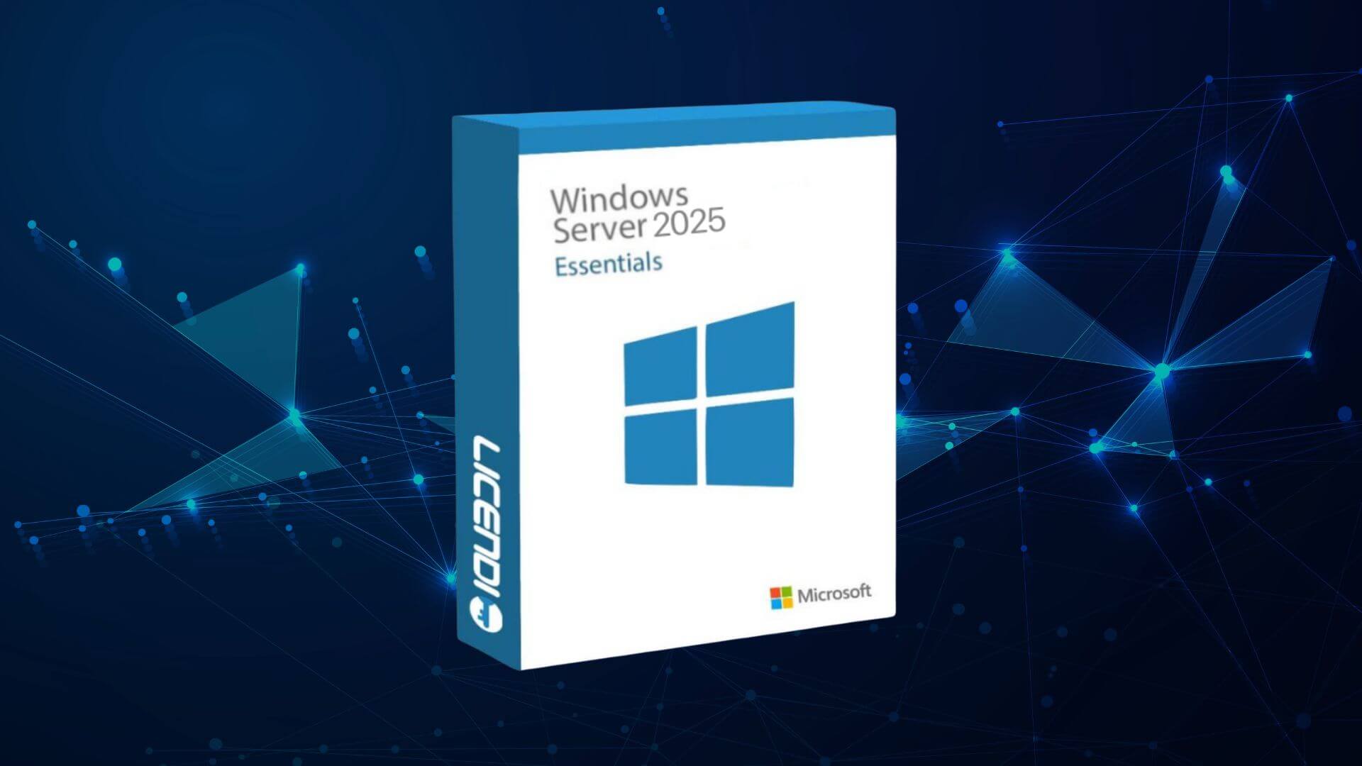 Windows Server 2025 License