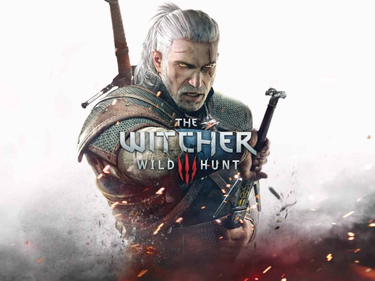 The Witcher Wildhunt